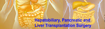 Best Hepato-biliary, Pancreatic, Liver Transplant & Laparoscopic Surgeon